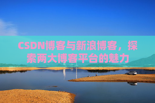 CSDN博客与新浪博客，探索两大博客平台的魅力